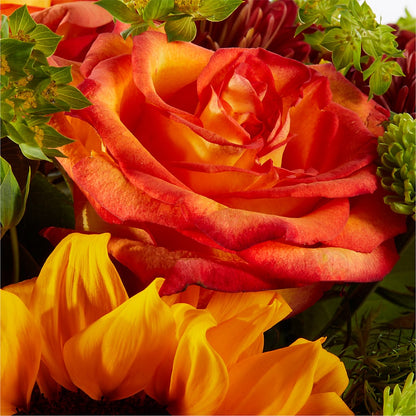 Harvest Festival Bouquet –  Fleuriste Boutique Du Moulin, L'ile-perrot PQ