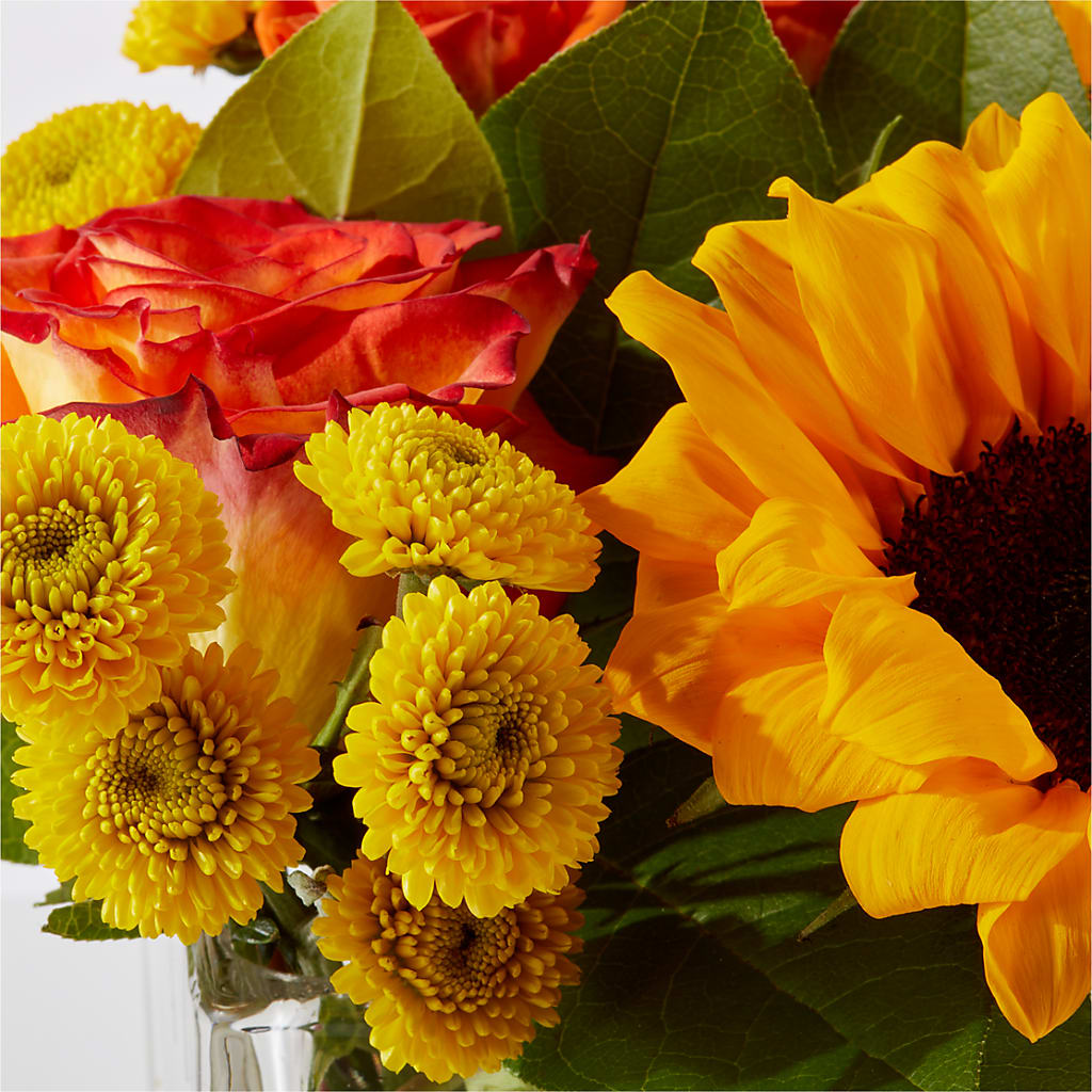 Picnic in the Park Bouquet –  Fleuriste Boutique Du Moulin, L'ile-perrot PQ