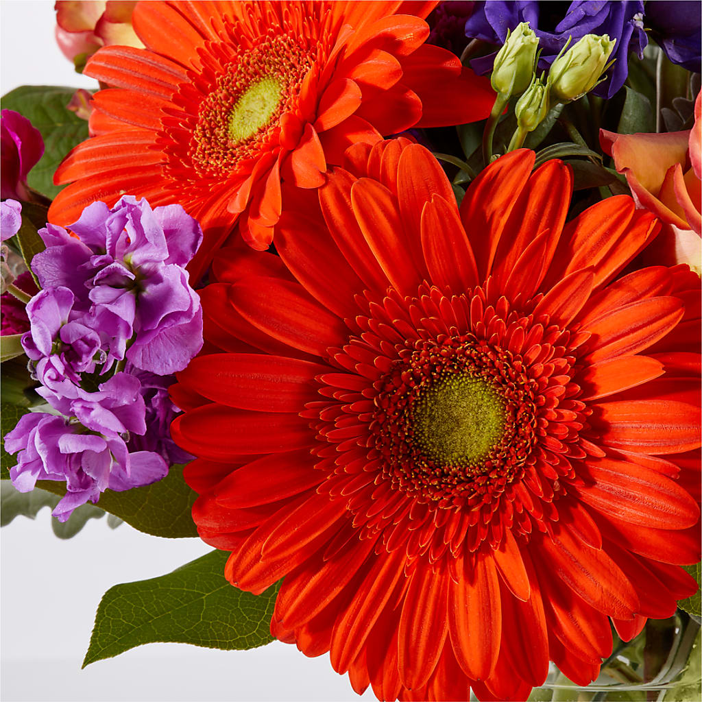 Sangria Bouquet –  Fleuriste Boutique Du Moulin, L'ile-perrot PQ