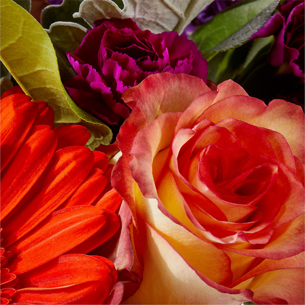 Sangria Bouquet –  Fleuriste Boutique Du Moulin, L'ile-perrot PQ