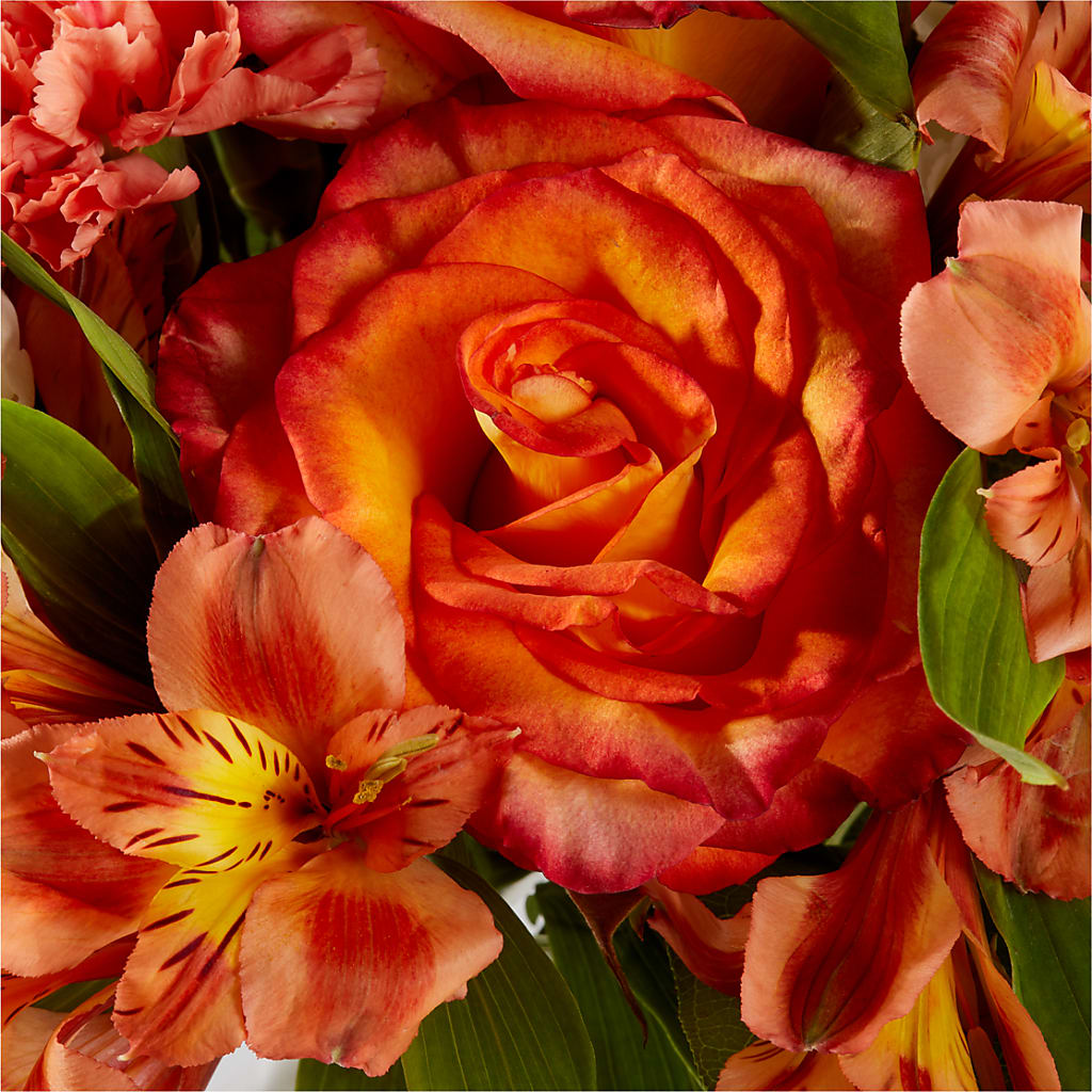 Apricot Glow Bouquet –  Fleuriste Boutique Du Moulin, L'ile-perrot PQ