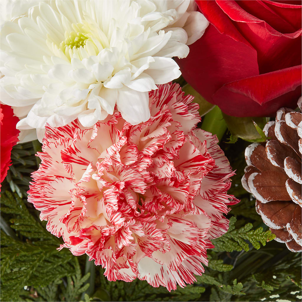 Candy Cane Lane Bouquet –  Fleuriste Boutique Du Moulin, L'ile-perrot PQ