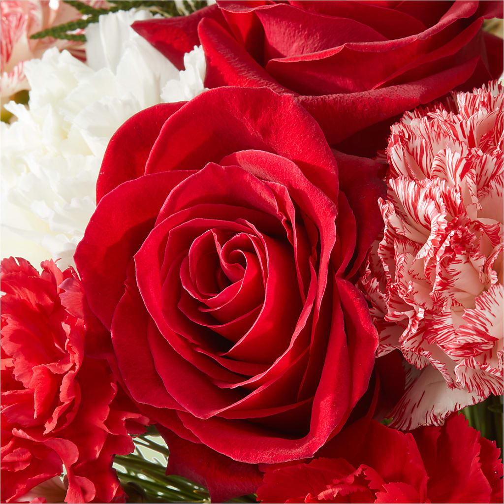 Candy Cane Lane Bouquet –  Fleuriste Boutique Du Moulin, L'ile-perrot PQ