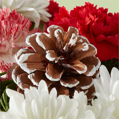Candy Cane Lane Bouquet –  Fleuriste Boutique Du Moulin, L'ile-perrot PQ