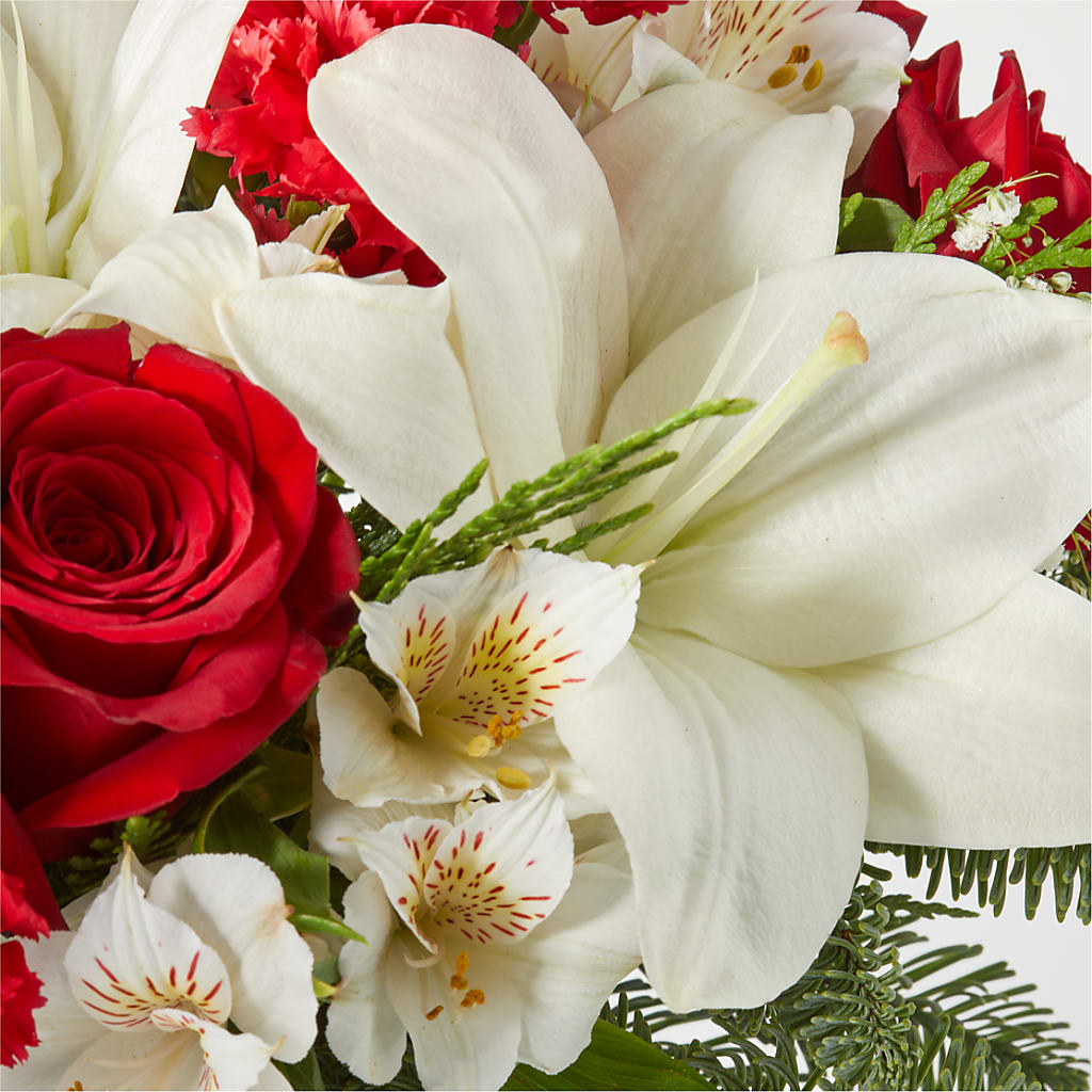 Holiday Season Bouquet –  Fleuriste Boutique Du Moulin, L'ile-perrot PQ