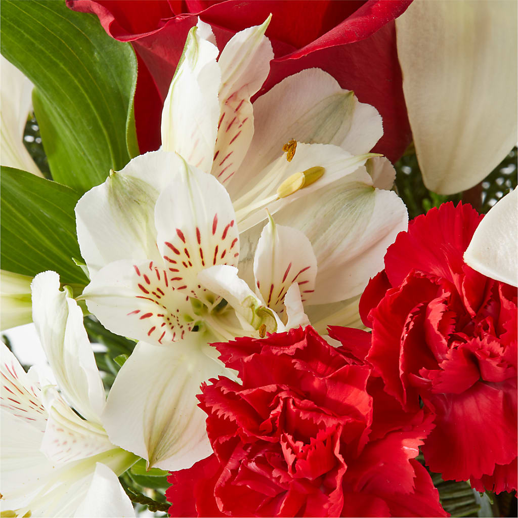 Holiday Season Bouquet –  Fleuriste Boutique Du Moulin, L'ile-perrot PQ