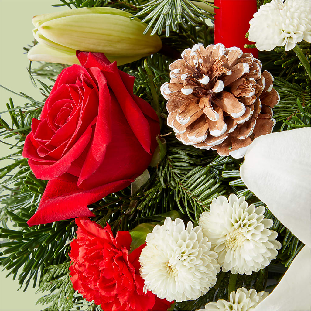 Seasonal Festivities Centerpiece –  Fleuriste Boutique Du Moulin, L'ile-perrot PQ