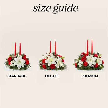Seasonal Festivities Centerpiece –  Fleuriste Boutique Du Moulin, L'ile-perrot PQ
