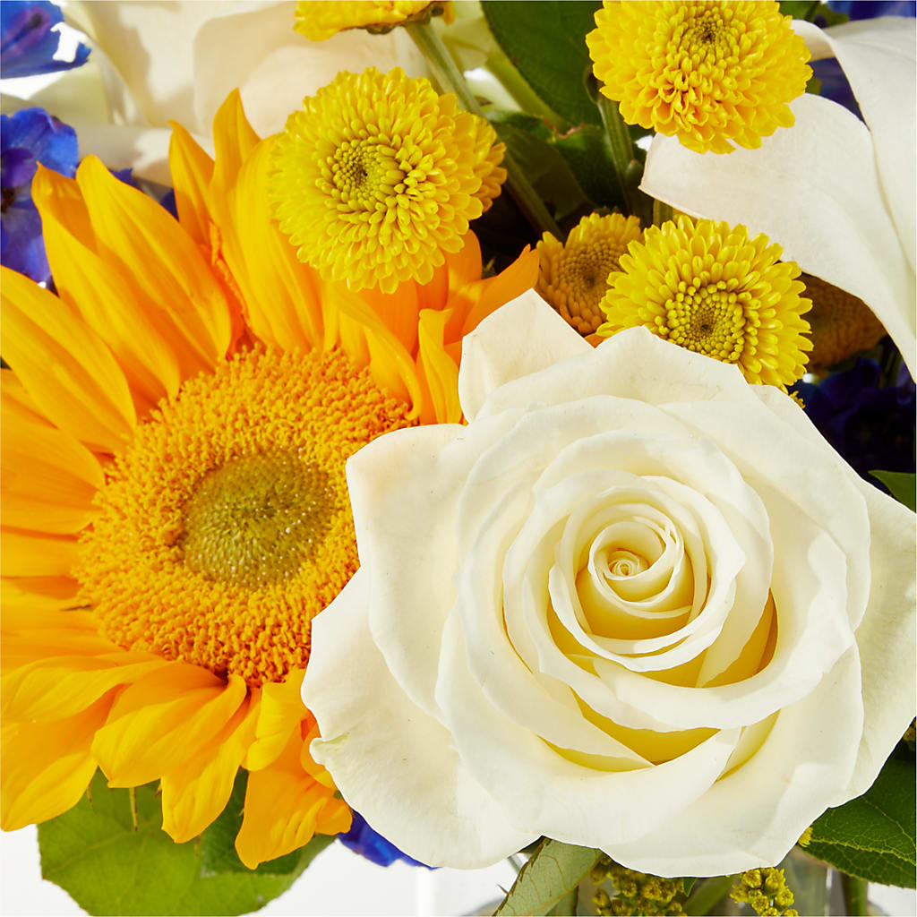 Stargazing Bouquet –  Fleuriste Boutique Du Moulin, L'ile-perrot PQ