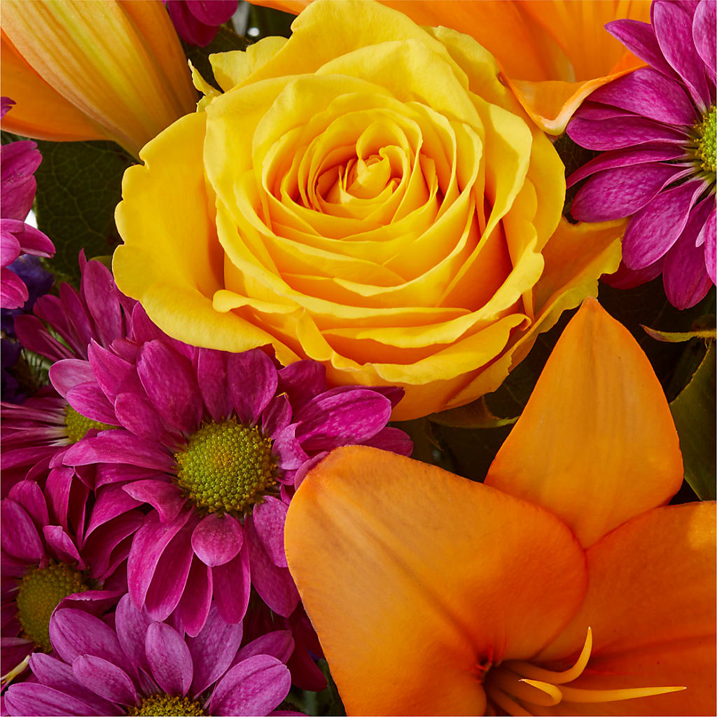 Colorful Visions Bouquet –  Fleuriste Boutique Du Moulin, L'ile-perrot PQ