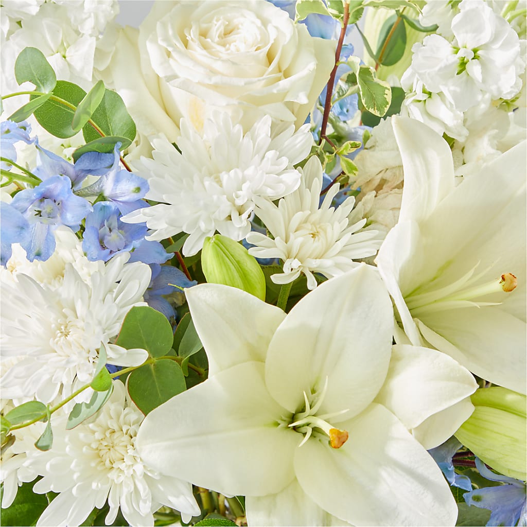 Peace of Mind Bouquet –  Fleuriste Boutique Du Moulin, L'ile-perrot PQ