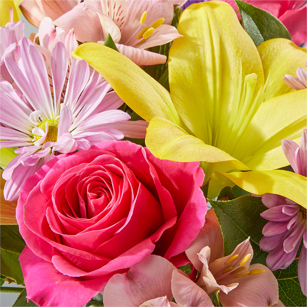 Sprinkles Bouquet –  Fleuriste Boutique Du Moulin, L'ile-perrot PQ