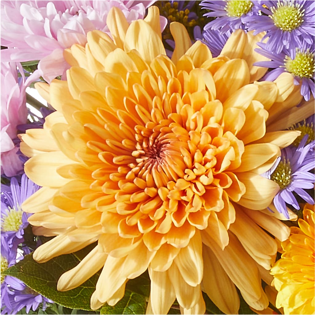 Countryside Bouquet –  Fleuriste Boutique Du Moulin, L'ile-perrot PQ