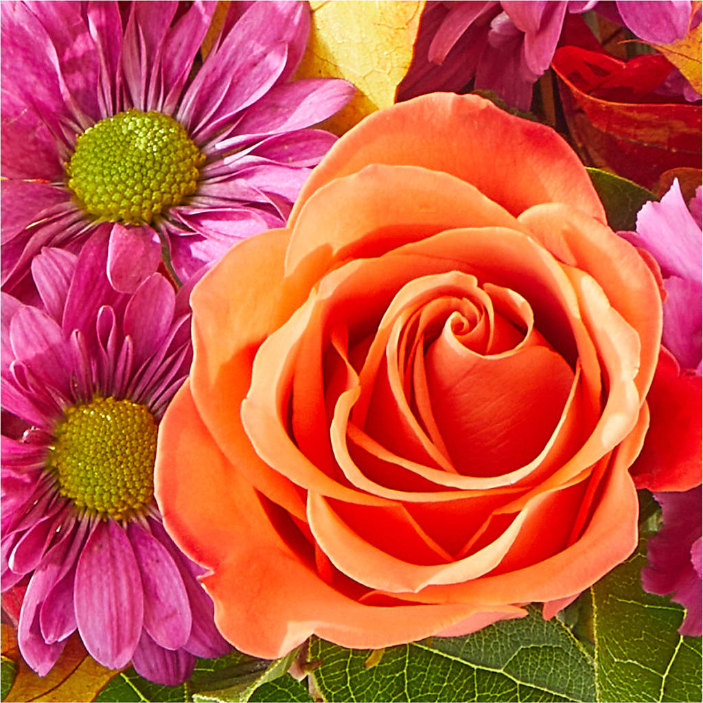 Mum's the Word Bouquet –  Fleuriste Boutique Du Moulin, L'ile-perrot PQ