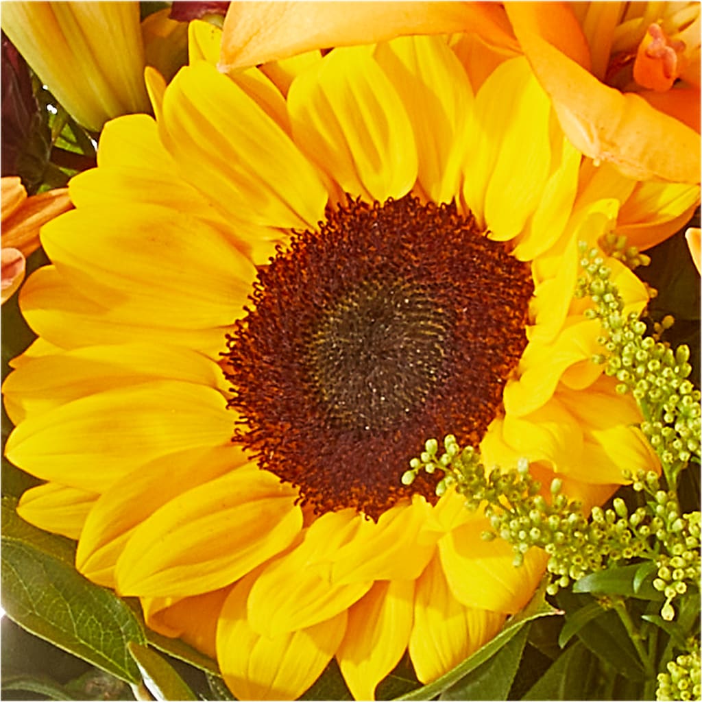 Seasons Change Bouquet –  Fleuriste Boutique Du Moulin, L'ile-perrot PQ
