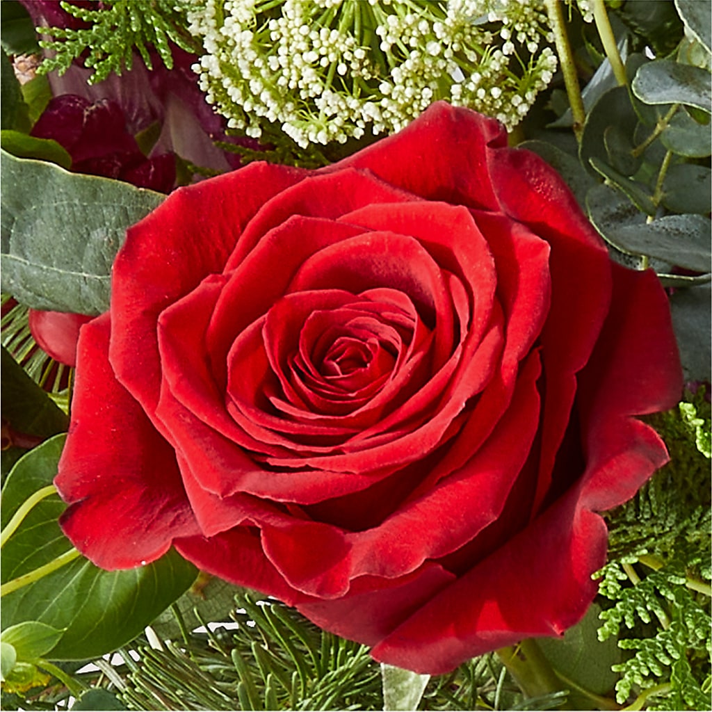 Cranberry Fizz Bouquet –  Fleuriste Boutique Du Moulin, L'ile-perrot PQ