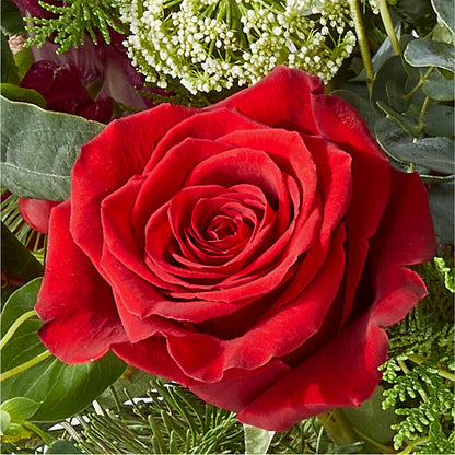 Cranberry Fizz Bouquet –  Fleuriste Boutique Du Moulin, L'ile-perrot PQ