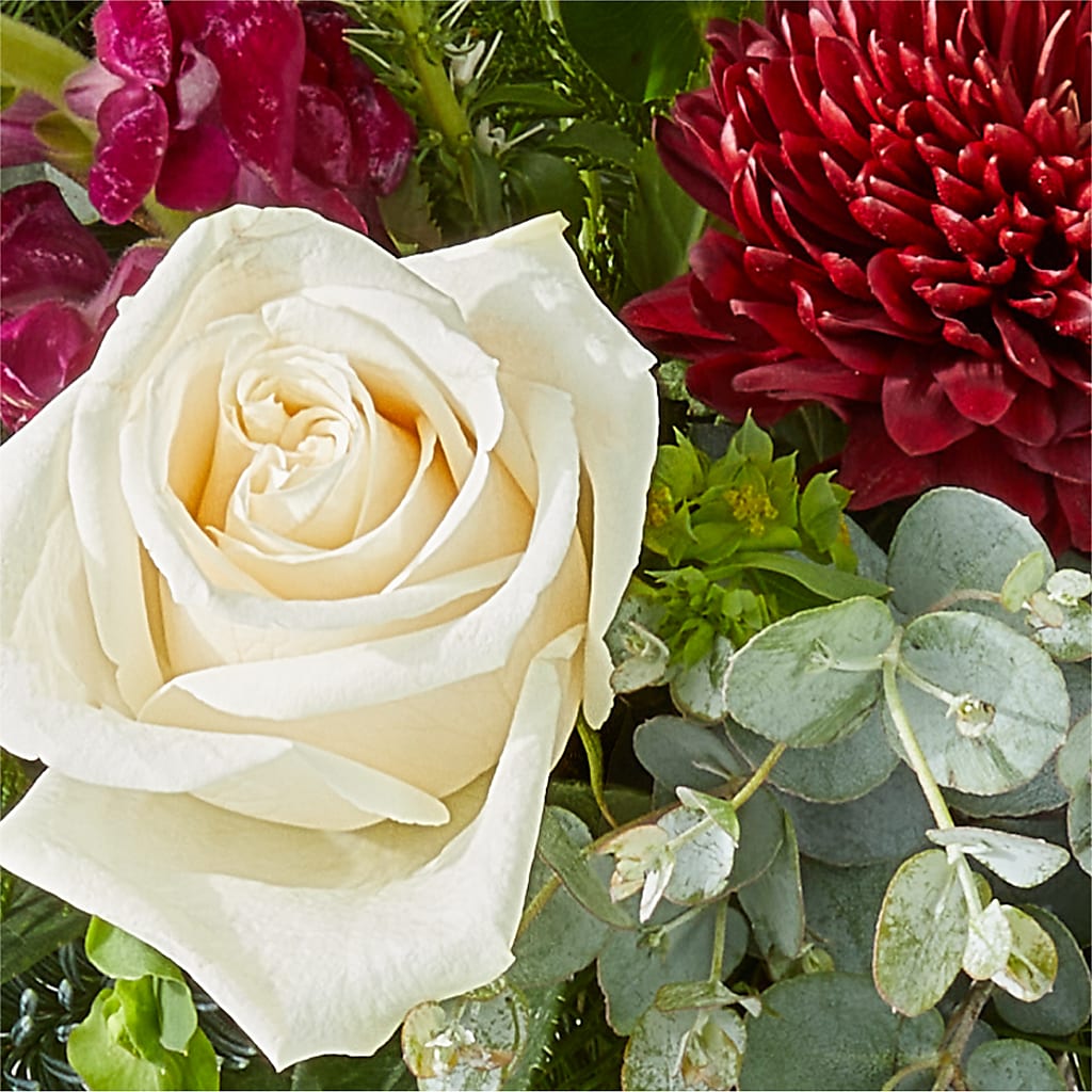 Cranberry Fizz Bouquet –  Fleuriste Boutique Du Moulin, L'ile-perrot PQ