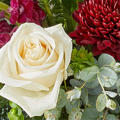 Cranberry Fizz Bouquet –  Fleuriste Boutique Du Moulin, L'ile-perrot PQ