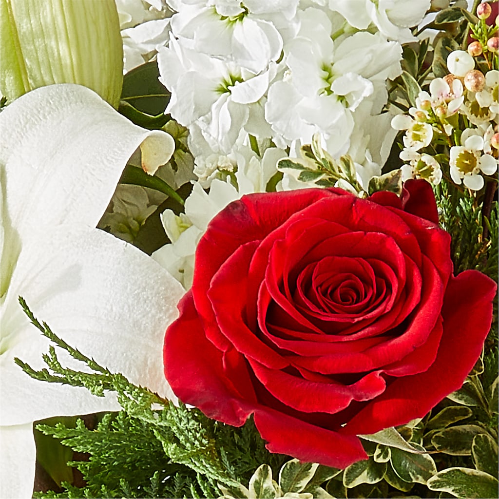Twinkle Lights Bouquet –  Fleuriste Boutique Du Moulin, L'ile-perrot PQ
