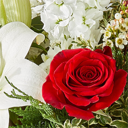 Twinkle Lights Bouquet –  Fleuriste Boutique Du Moulin, L'ile-perrot PQ