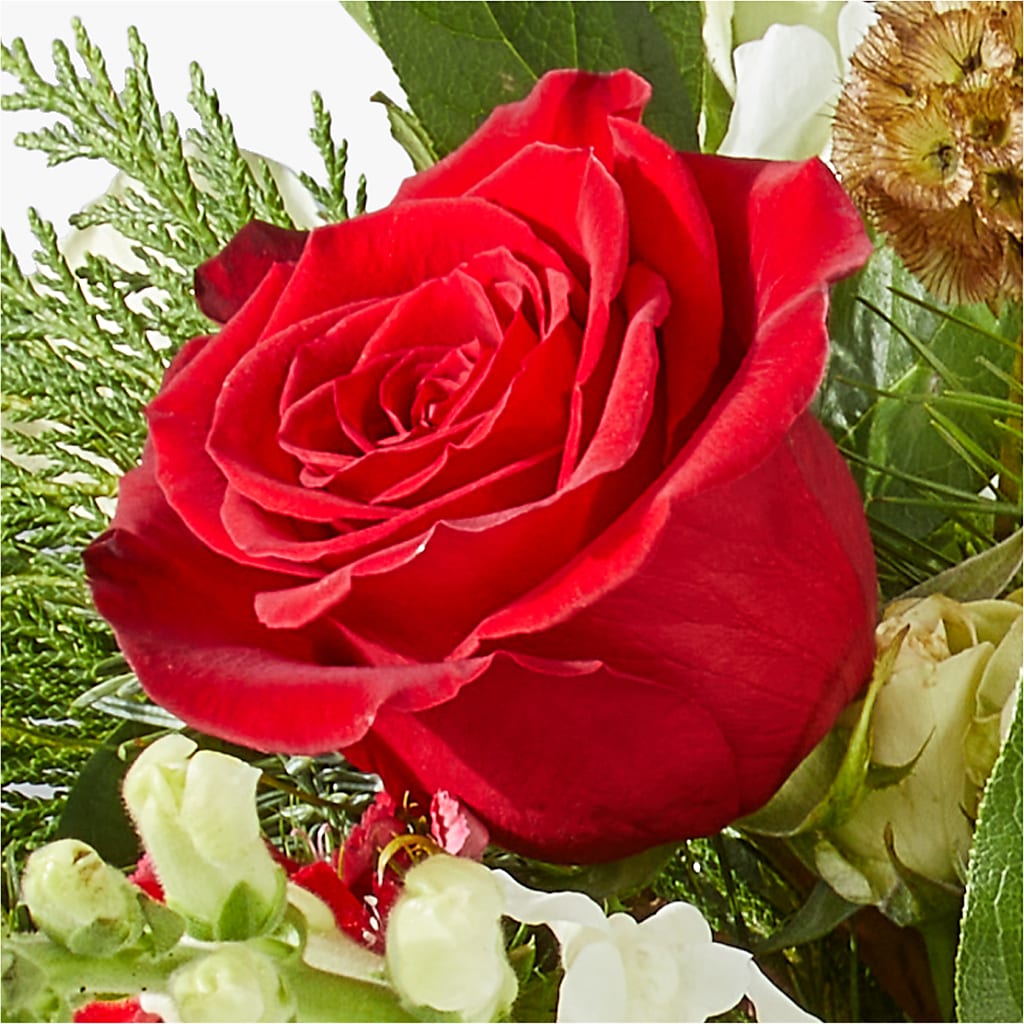 Deck the Halls Bouquet –  Fleuriste Boutique Du Moulin, L'ile-perrot PQ