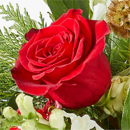 Deck the Halls Bouquet –  Fleuriste Boutique Du Moulin, L'ile-perrot PQ
