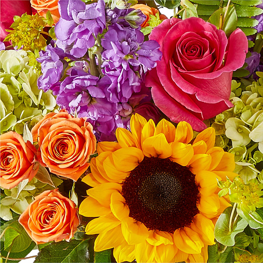 Vibrant Greetings Bouquet –  Fleuriste Boutique Du Moulin, L'ile-perrot PQ