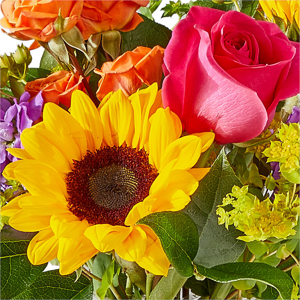 Vibrant Greetings Bouquet –  Fleuriste Boutique Du Moulin, L'ile-perrot PQ