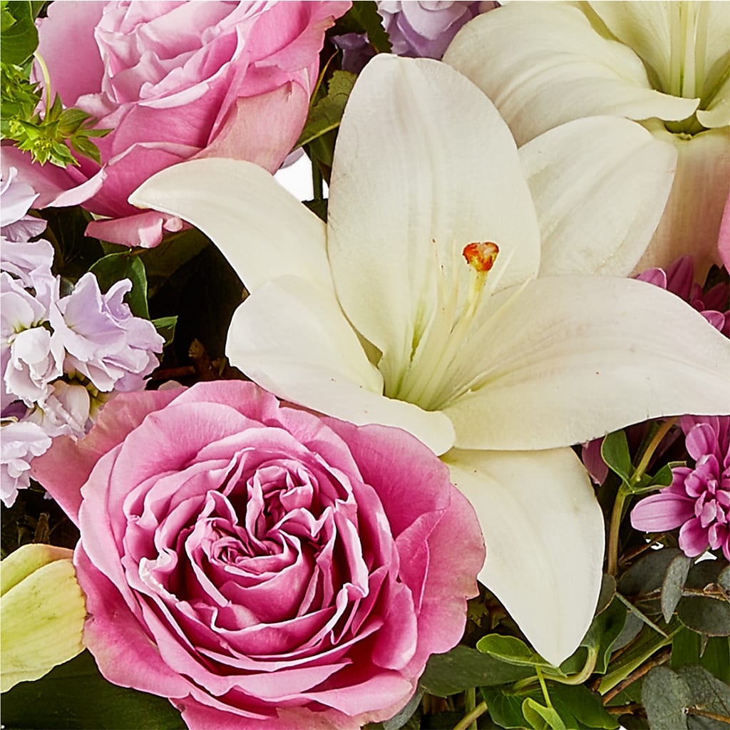 Daydreamer Bouquet –  Fleuriste Boutique Du Moulin, L'ile-perrot PQ