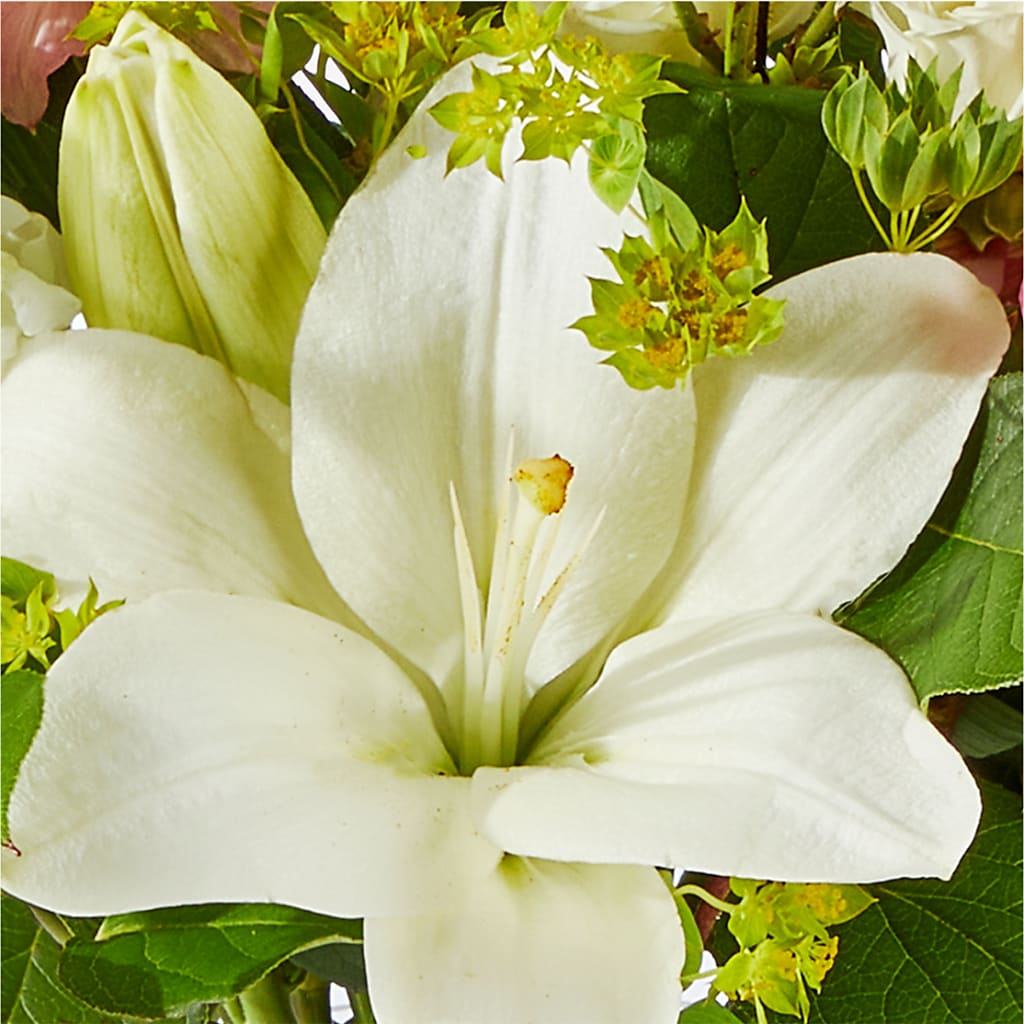 Fondly Bouquet –  Fleuriste Boutique Du Moulin, L'ile-perrot PQ