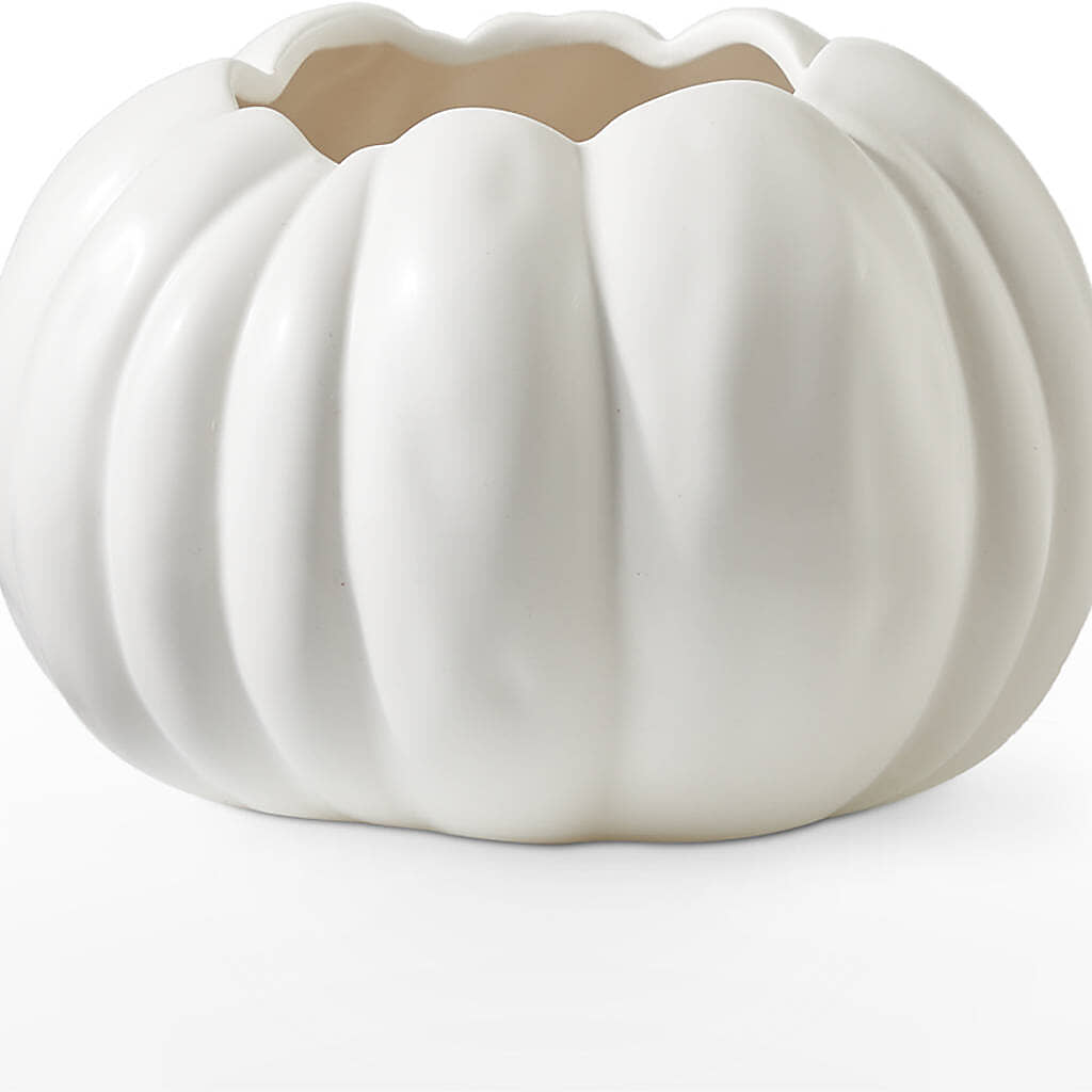 Pumpkin to Talk About Bouquet –  Fleuriste Boutique Du Moulin, L'ile-perrot PQ